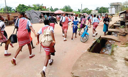 Monkeypox: ‘IPOB lies led to shutdown of schools in south-east’