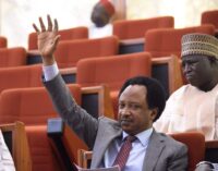 EXTRA: Looters list should include players of Umbrella Utd and Broomers FC, says Shehu Sani