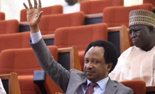 Shehu Sani: Demand a written agreement if your zone is promised power in 2023