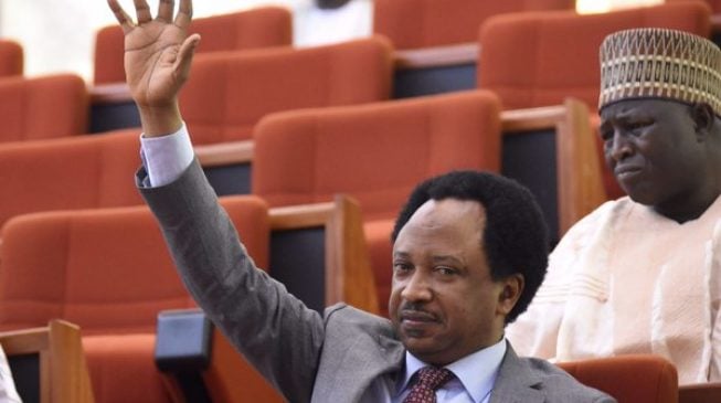 EXTRA: Looters list should include players of Umbrella Utd and Broomers FC, says Shehu Sani