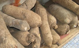 US rejects Nigeria’s yam over ‘poor quality’