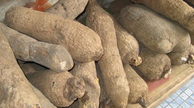From crude oil to yam: The ridiculous attempts to diversify the economy