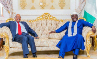 Statues of corruption: Overheard phone conversation between Rochas Okorocha and Jacob Zuma