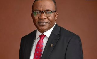 INTERVIEW: We’ve been touching lives all over the world for more than 100 years, says Ogunbadejo, district gov of Rotary Club