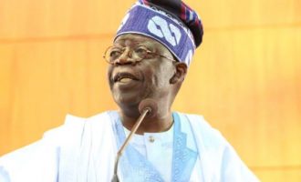 Tinubu the Ap’ejalodo and his strange fish friend