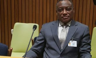 Senate summons defence minister over Cameroonian troops’ ‘incursion’ into Nigeria