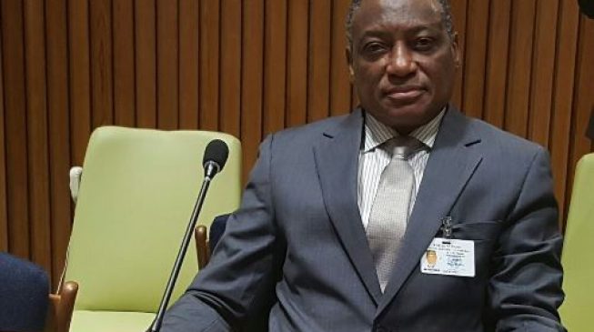 Senate summons defence minister over Cameroonian troops’ ‘incursion’ into Nigeria