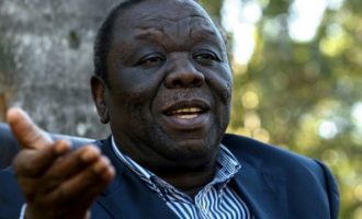 Zimbabwe crisis: Mugabe must resign immediately, says opposition leader