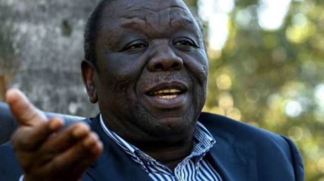 Zimbabwe crisis: Mugabe must resign immediately, says opposition leader