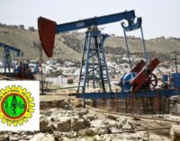NPDC to begin oil exploration in Ogoniland
