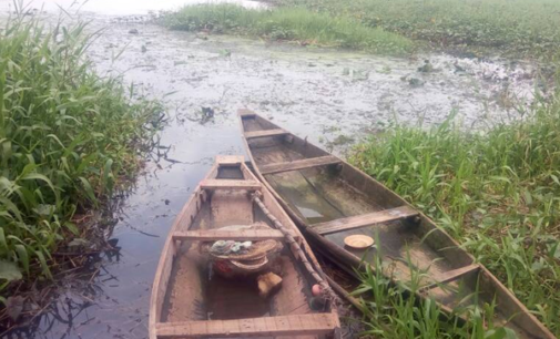 Drying rivers, empty houses… how Ibadan residents are ‘struggling’ with nature