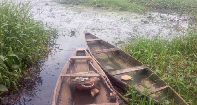 Drying rivers, empty houses… how Ibadan residents are ‘struggling’ with nature