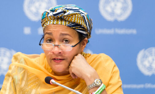 EXCLUSIVE: How I tackled illegal wood export and deforestation, by Amina Mohammed