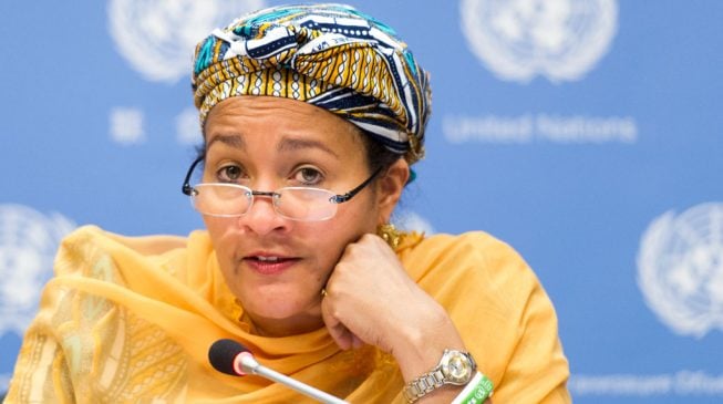 EXCLUSIVE: How I tackled illegal wood export and deforestation, by Amina Mohammed