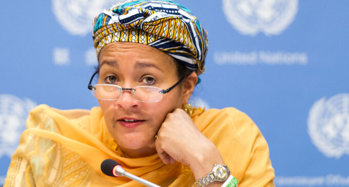EXCLUSIVE: How I tackled illegal wood export and deforestation, by Amina Mohammed