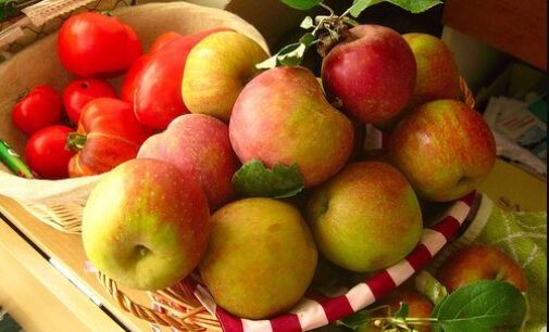 Five reasons you should eat an apple a day