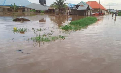 Flood destroys 300 houses in Daura