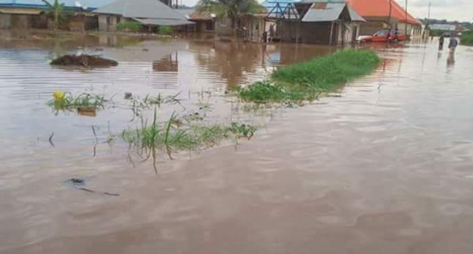 Flood destroys 300 houses in Daura