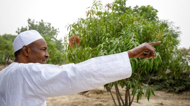 I lack the power to create cattle colonies across Nigeria, says Buhari