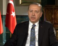 Erdogan and the new Turkey