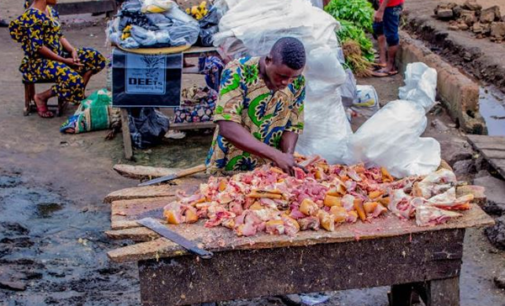 Unhealthy abattoirs in Nigeria –recommendations and solutions