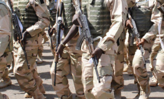 Army launches special operation to tackle cattle rustling