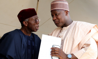Understanding the politics of Dogara
