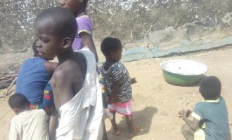 UNICEF: 50 percent of pupils in north drop out of school for marriage, child labour