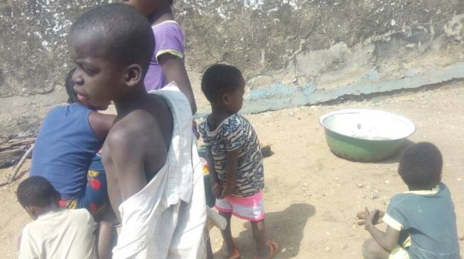UNICEF: 50 percent of pupils in north drop out of school for marriage, child labour