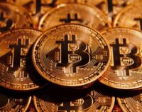 ‘I like to count my money’, says Na’Allah as senators speak on ‘dangers’ of bitcoin