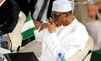 Buhari: Heading for a meltdown in 2019?