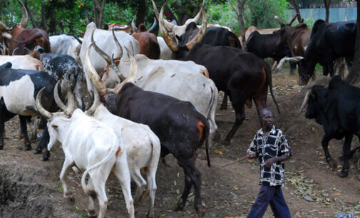 Ogbeh: Buhari will end farmers-herders crisis
