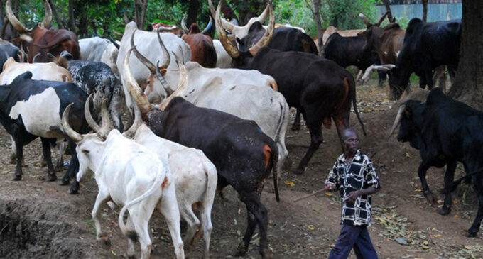 Herdsmen on rampage: When will Mr President act?