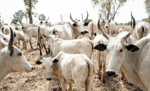 FG to convert grazing reserves to ranches