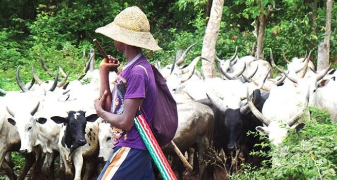 Monarch killed as ‘herdsmen’ raid Taraba villages
