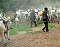 Nigeria’s helmsman and his herdsmen