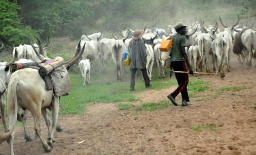 Nigeria’s helmsman and his herdsmen