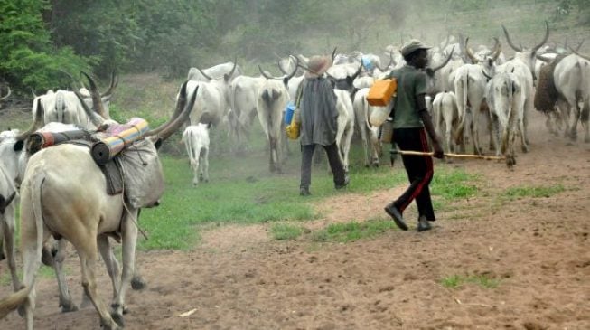 Two NSCDC officials shot dead in exchange of gunfire with ‘herdsmen’