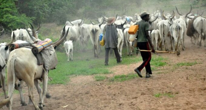 Ex-naval chief: Police say it’s difficult to arrest ‘highly placed’ herdsmen sponsors
