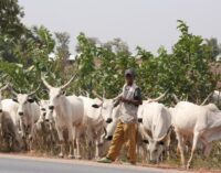 Tambuwal: ECOWAS protocol must be reviewed to check influx of foreign herders into Nigeria