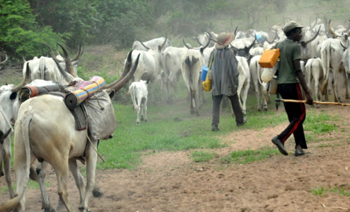 Tackling insecurity and spectre of killer herdsmen in the north-central