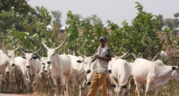 Fulani herdsmen and the logic of false consensus
