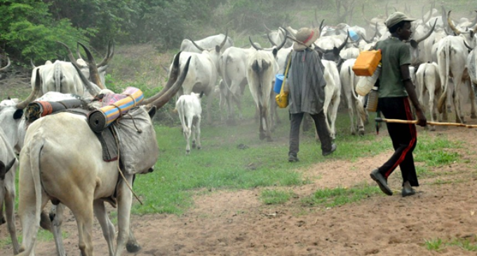 Garba Shehu: Buhari’s government is first to propose workable solution to herder-farmer clashes