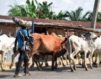 ‘Herdsmen’ kill four in Taraba — after governor’s alarm