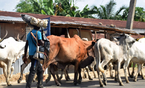 25 killed as ‘herdsmen’ invade Kogi communities