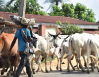 Bakare: Open grazing is obsolete… it needs to end