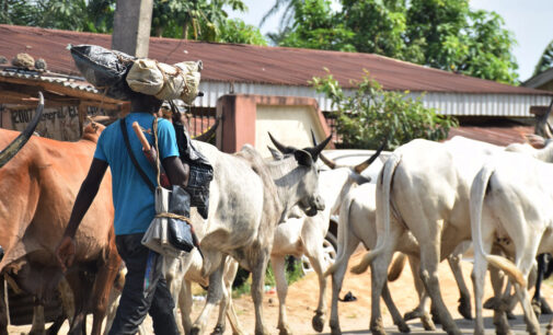 Garba Shehu: We need to stop herdsmen from roaming around