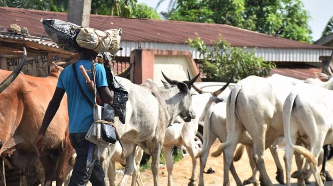 ‘Herdsmen’ in gun battle with soldiers in Benue