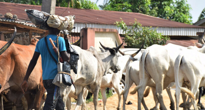 ‘Herdsmen’ in gun battle with soldiers in Benue