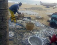 How oil spills ‘lubricate’ migration from Nigeria